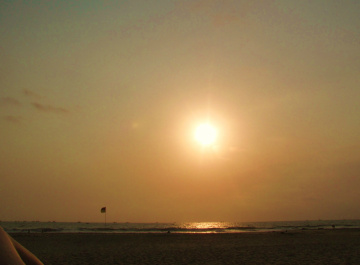 photo 172766
