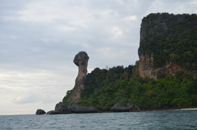 photo 226982