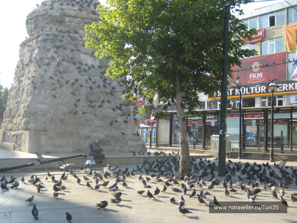 photo 235415