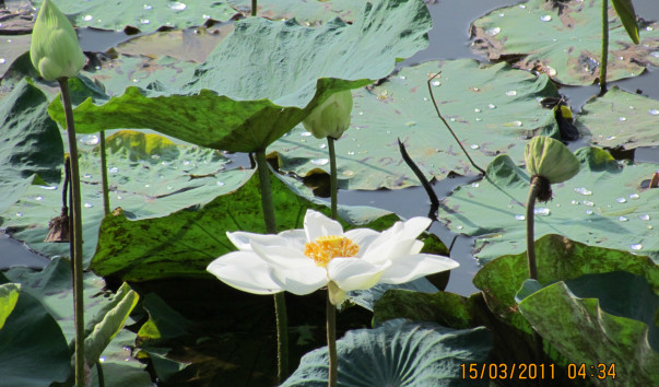 отдых2011 020