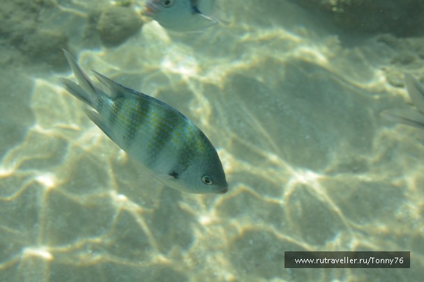 photo 673759