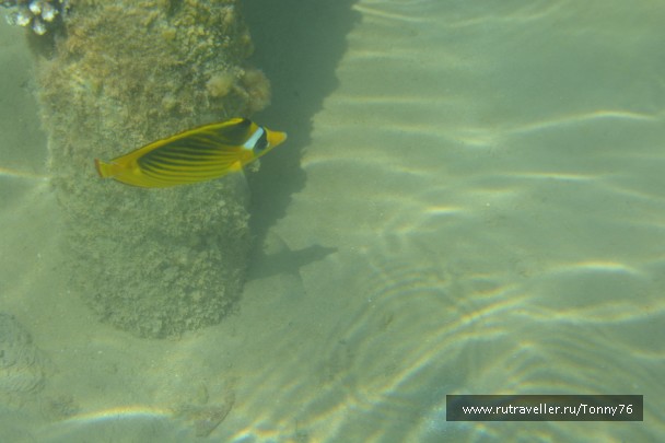 photo 673767