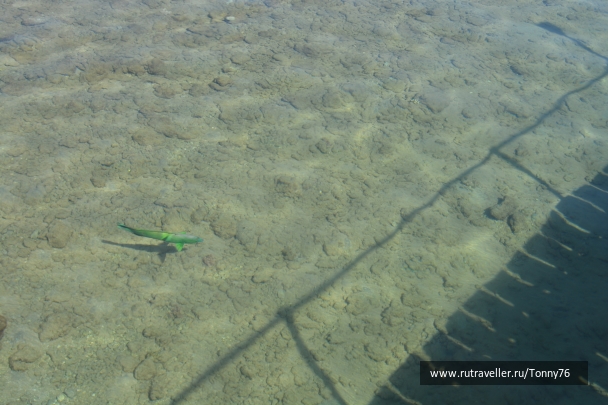 photo 673768
