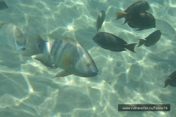 photo 673783
