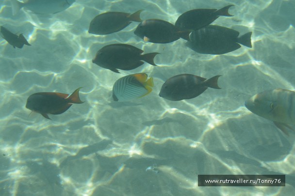 photo 673784