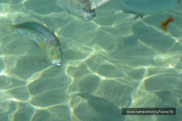 photo 673785