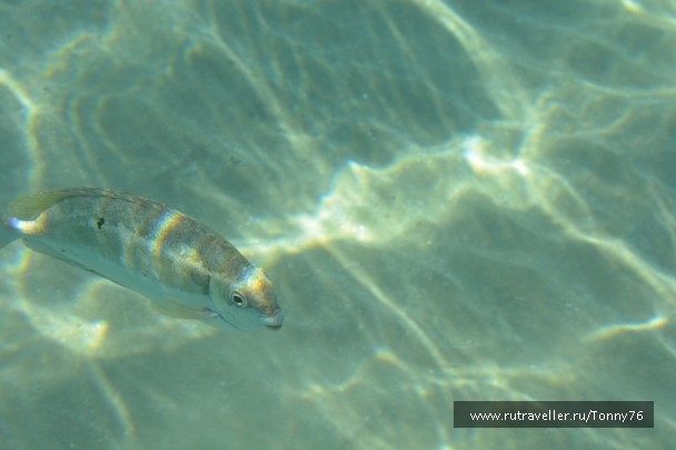 photo 673786