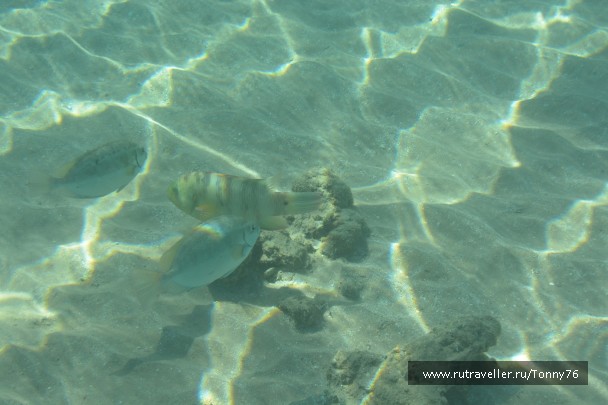 photo 673787
