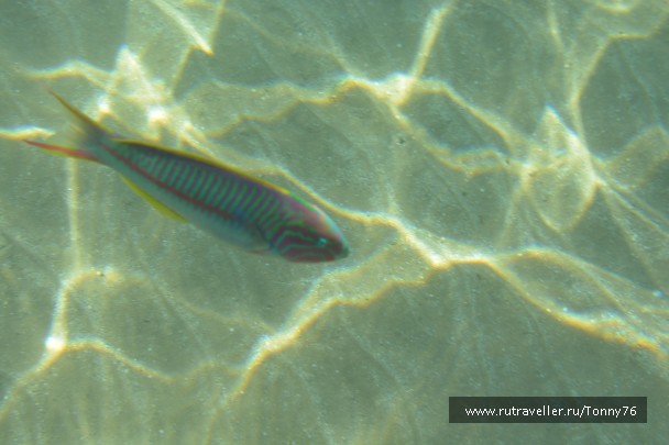 photo 673795