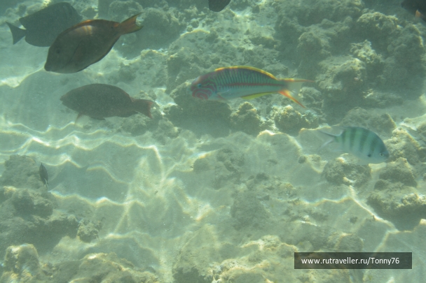 photo 673796