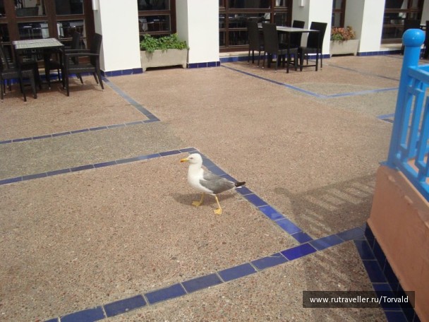 photo 126353