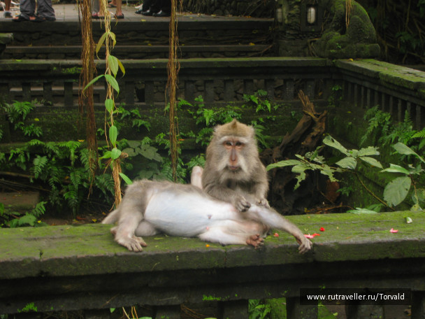 photo 130578