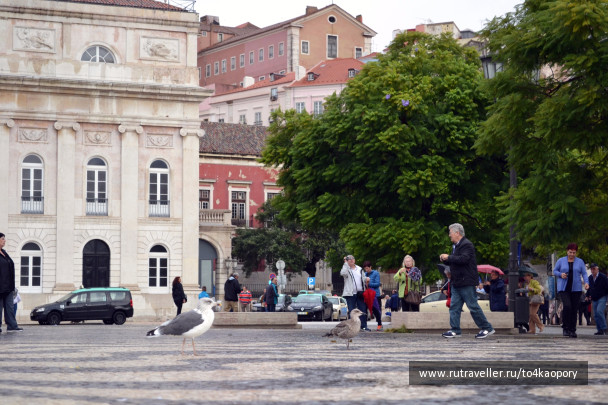 photo 1152578