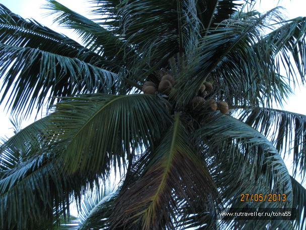 photo 721144