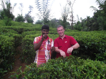 photo 254383