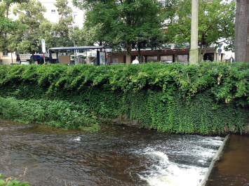 photo 526535