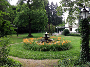 photo 526537