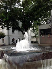 photo 528463
