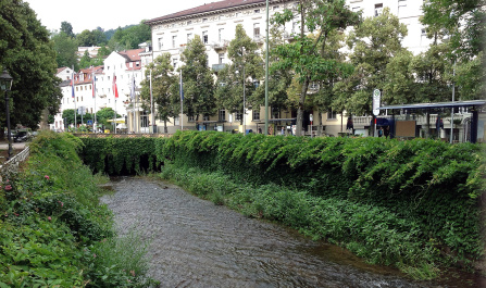 photo 544435