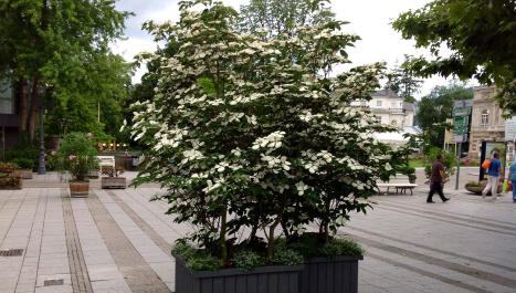 photo 608311