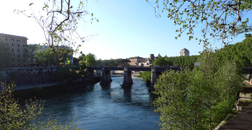 photo 573815