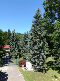photo 474181
