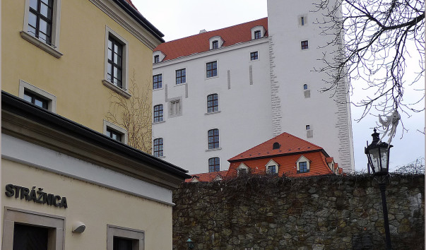 P1020852
