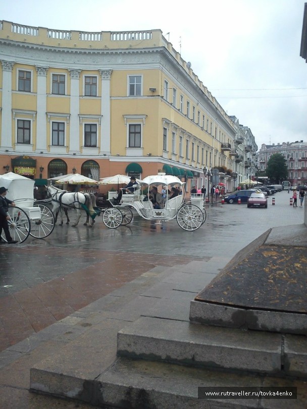 photo 782413