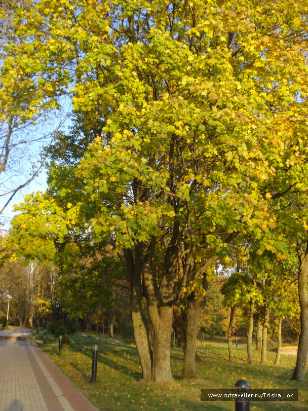 photo 434586