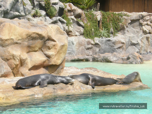 photo 436857