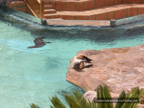 photo 436858
