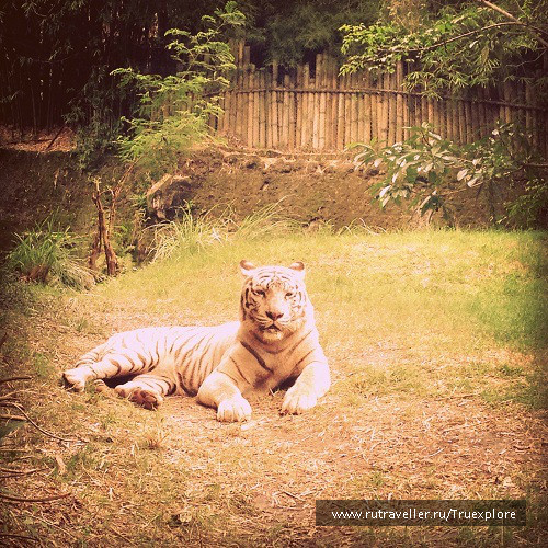 photo 652154