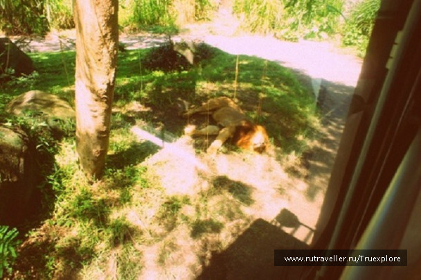 photo 652164