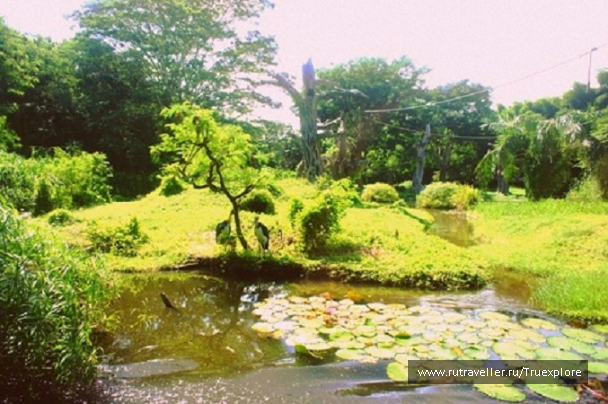 photo 652165