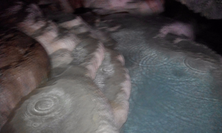 photo 1205805