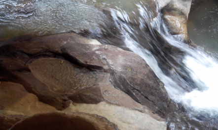 photo 1205812