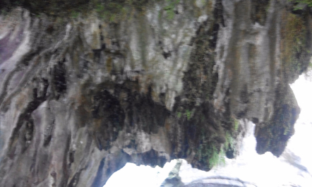 photo 1205818