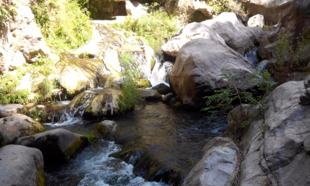 photo 1205830