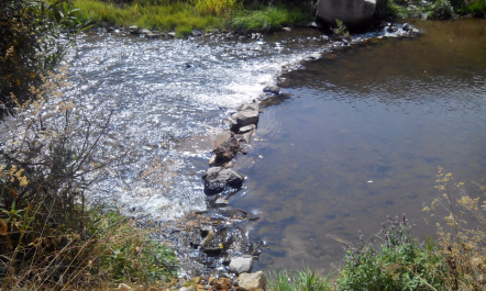 photo 1205860