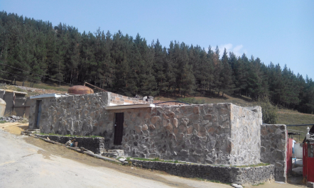 photo 1205862