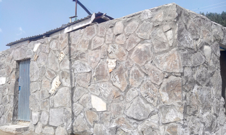 photo 1205864