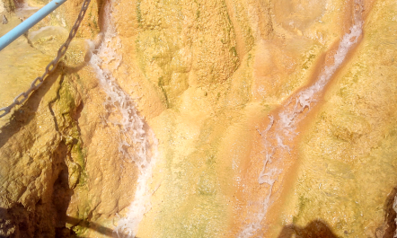 photo 1205871