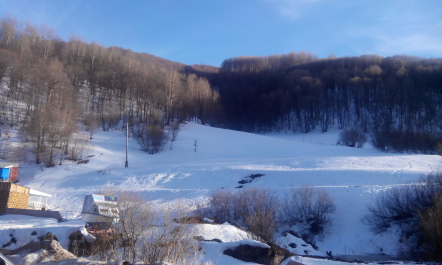 photo 1244550