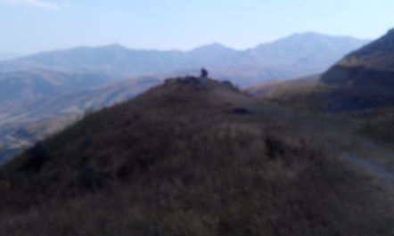 photo 1205949
