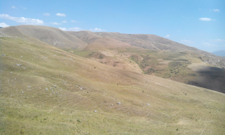 photo 1205952