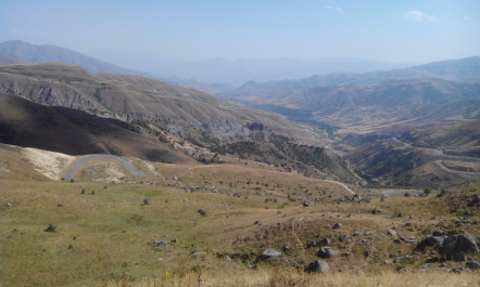 photo 1205957