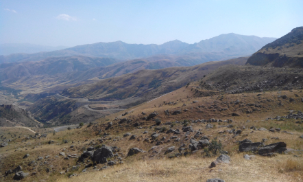 photo 1205958