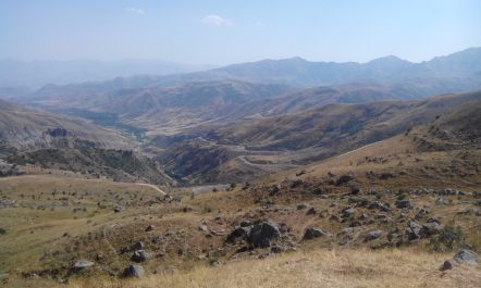 photo 1205959