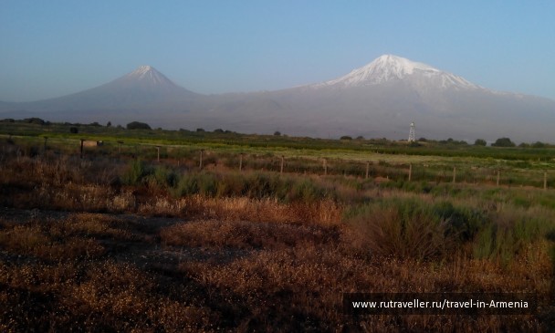 photo 1207162