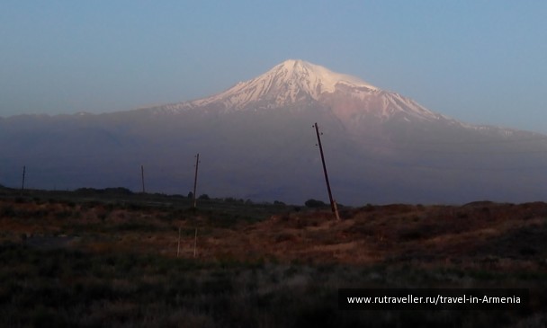 photo 1207164